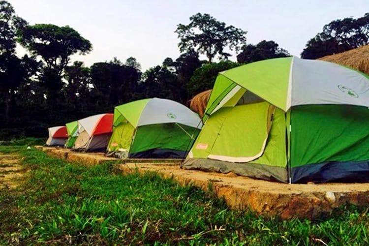 Tent,Camping,Grass,Leaf,Plant community,Rural area,Recreation,Grassland,Tree,Leisure