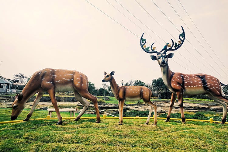 Wildlife,Deer,Antler,Reindeer,Terrestrial animal,Horn,Elk,Snout,Sky,Antelope