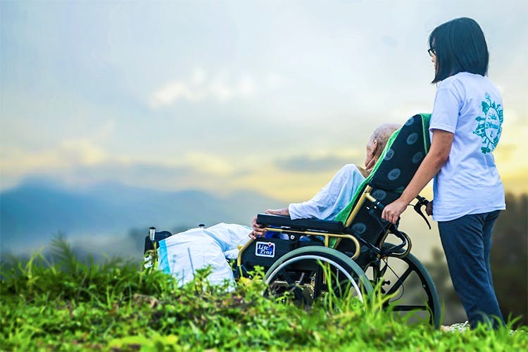 Green,Grass,Product,Grassland,Vehicle,Travel,Photography,Wheelchair,Cloud,Recreation