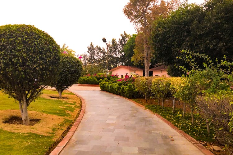 Tree,Property,Botany,Road,Shrub,Walkway,Woody plant,Garden,Sky,Real estate