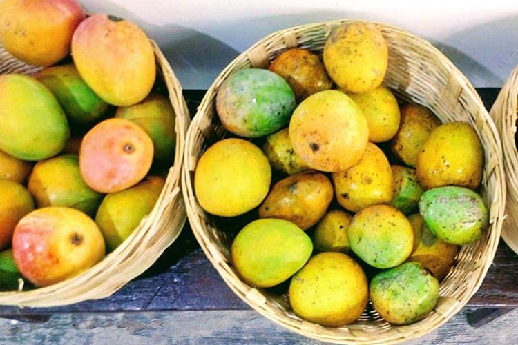 Food,Fruit,Plant,Local food,Produce,Natural foods,Mango,Ingredient,Vegetarian food,Vegetable