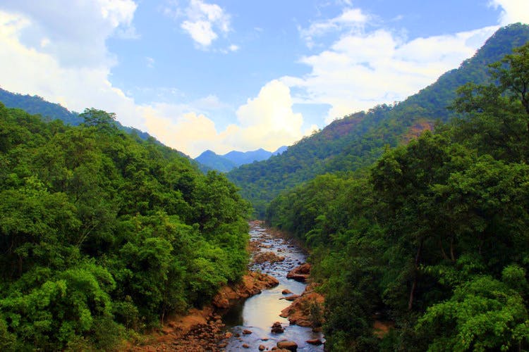 Highland,Nature,Vegetation,Mountainous landforms,Natural landscape,Water resources,Nature reserve,Mountain,Jungle,Hill station