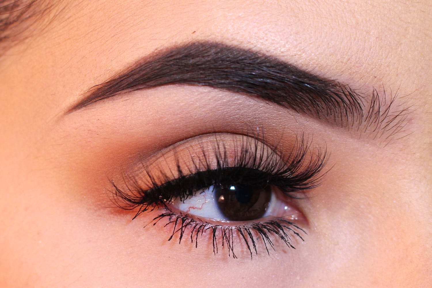 Eyebrow,Eyelash,Eye,Face,Eye shadow,Skin,Cosmetics,Organ,Close-up,Nose