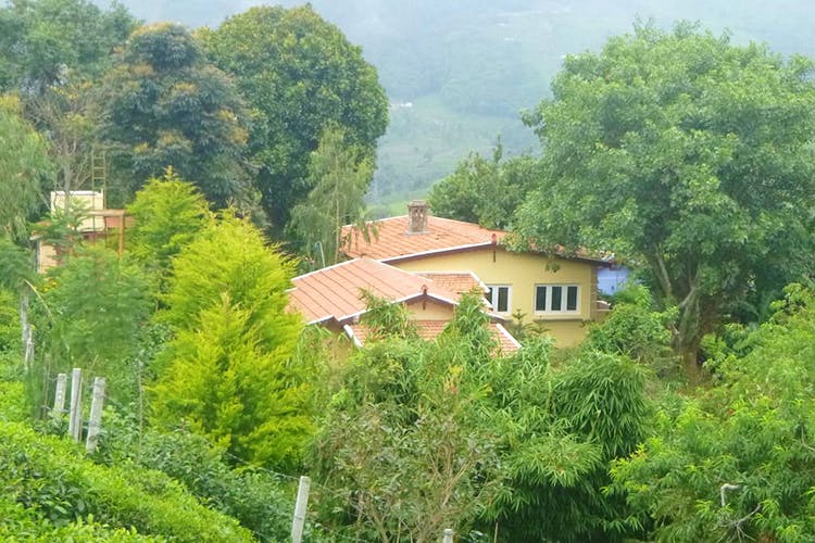 Hill station,Property,House,Rural area,Tree,Cottage,Mountain village,Hill,Home,Building