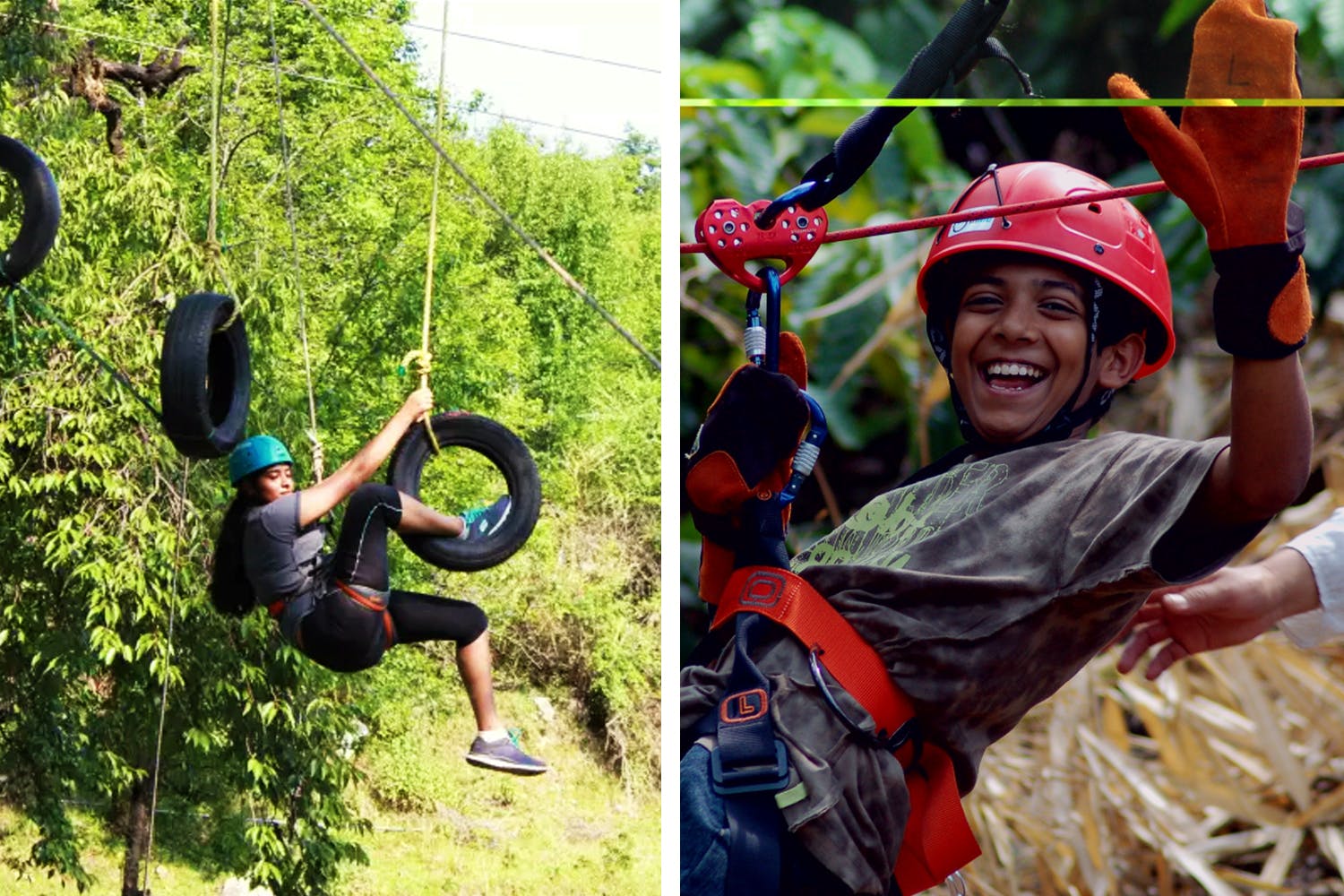 Fun,Adventure,Jungle,Tree,Recreation,Rope,Adaptation,Climbing harness,Photography,Plant