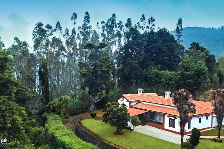 Property,Hill station,Tree,Natural landscape,House,Home,Real estate,Botany,Estate,Rural area