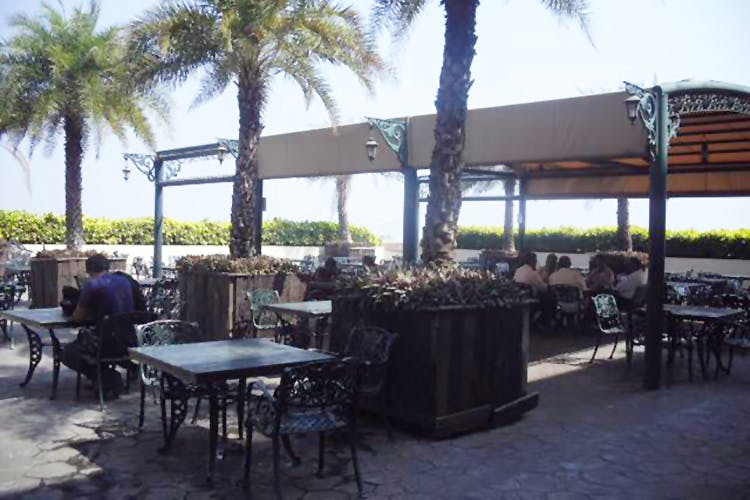 Restaurant,Patio,Outdoor table,Resort,Tree,Building,Shade,Arecales,Backyard
