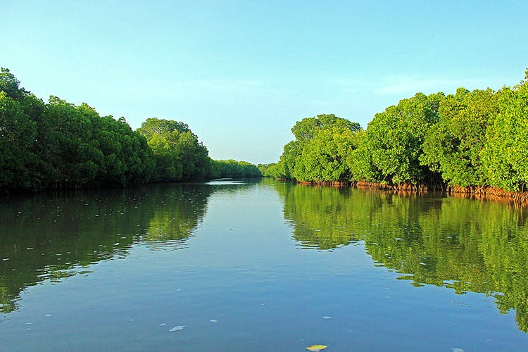 Body of water,River,Nature,Water,Natural landscape,Water resources,Reflection,Waterway,Bank,Vegetation