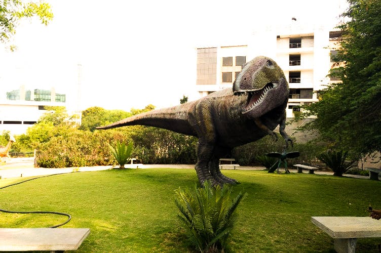 Tyrannosaurus,Statue,Grass,Dinosaur,Sculpture,Lawn,Tree,Art,Architecture,Velociraptor