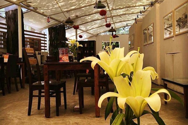 Restaurant,Flower,Yellow,Plant,Room,Building,Table,Flooring,Interior design