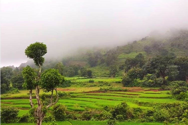 Nature,Hill station,Highland,Natural landscape,Green,Vegetation,Atmospheric phenomenon,Paddy field,Landscape,Grassland