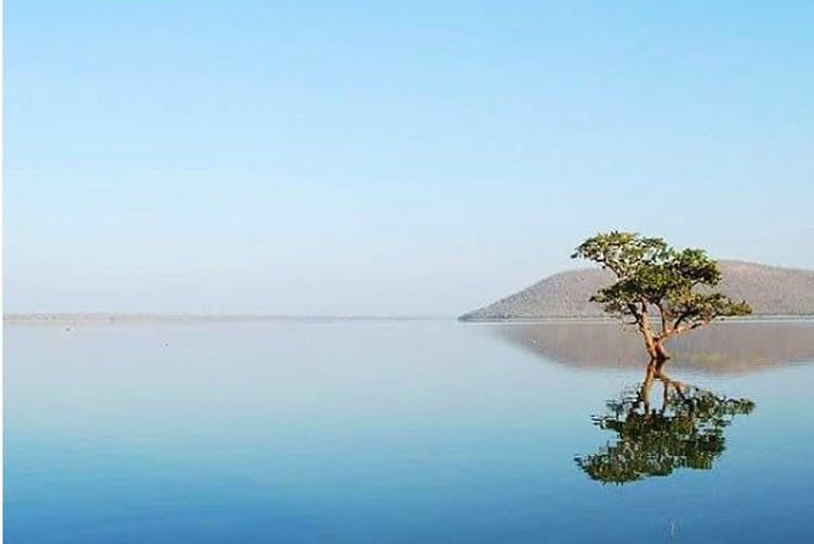 Water resources,Nature,Water,Natural landscape,Sky,Blue,Calm,Reflection,Islet,Tree