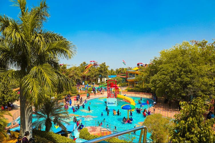 Swimming pool,Leisure,Water park,Majorelle blue,Vacation,Tree,Sky,Amusement park,Water,Park