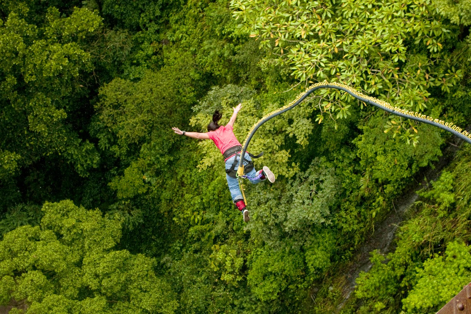 Jumping,Bungee jumping,Adventure,Extreme sport,Bungee cord,Jungle,Recreation,Flip (acrobatic),Tree,Exercise