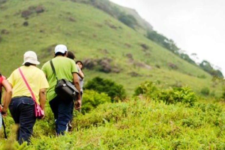 Backpacking,Grassland,Vegetation,Hill station,Wilderness,Mountainous landforms,Nature reserve,Outdoor recreation,Highland,Natural landscape