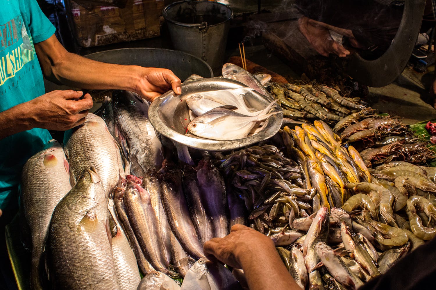 essay on fish market