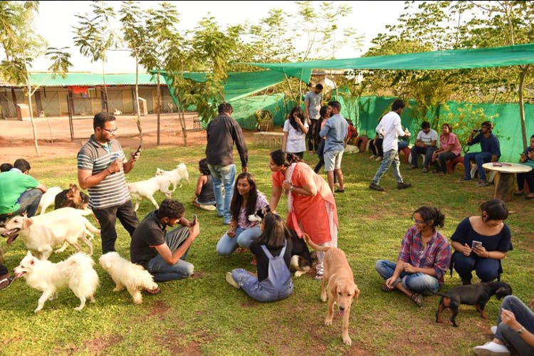 Happy Dogs Kennel In Khanapur | LBB 