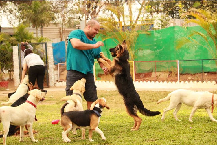 Check Out Happy Dogs Kennel In Khanapur LBB Hyderabad