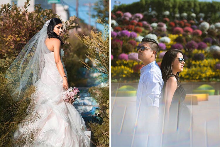 Bride,Photograph,Wedding dress,Dress,Gown,Bridal clothing,Pink,Veil,Ceremony,Shoulder