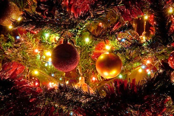 Christmas ornament,Christmas tree,Tree,Christmas,Christmas decoration,Christmas lights,Christmas eve,Fir,Branch,Spruce