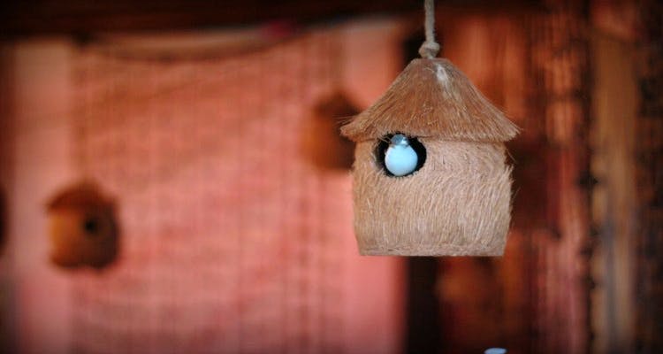 Birdhouse,Birdhouse,Bird feeder,House,Wood,Interior design