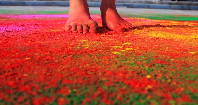 Red,Orange,Colorfulness,Leg,Human leg,Flower,Coquelicot,Foot,Grass,Plant