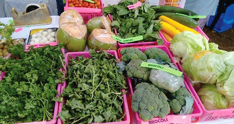 Leaf vegetable,Local food,Vegetable,Cruciferous vegetables,Food,Chard,Spinach,Whole food,Cauliflower,Natural foods