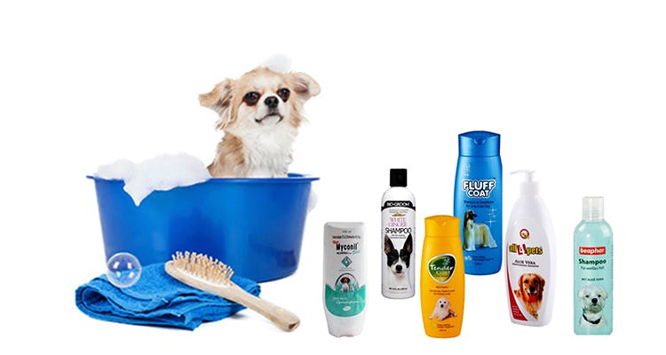Product,Puppy,Canidae,Dog,Toothbrush,Personal grooming,Companion dog,Pet food,Personal care,Carnivore