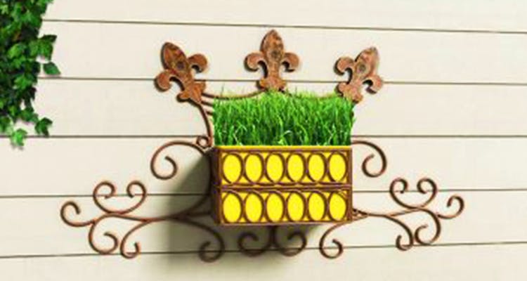 Iron,Wall,Flowerpot,Metal,Shelf,Plant,Flower,Fence