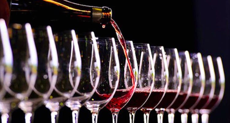 Stemware,Glass,Drinkware,Wine,Wine glass,Event,Barware,Wine bottle,Drink,Alcohol