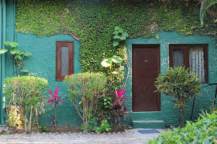 Green,House,Vegetation,Home,Wall,Door,Building,Tree,Leaf,Shed
