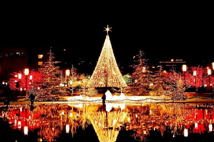 Landmark,Night,Christmas decoration,Metropolitan area,Christmas lights,Lighting,City,Reflection,Metropolis,Light