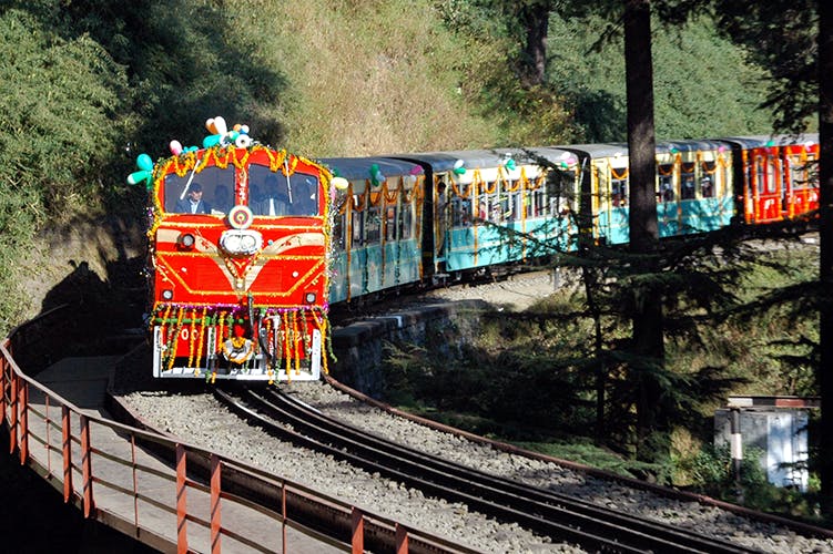 Transport,Mode of transport,Rolling stock,Vehicle,Track,Railway,Train,Public transport,Funicular,Tree