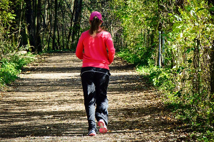 Running,Jogging,Outdoor recreation,Recreation,Trail,Tree,Exercise,Forest,Leisure,Fun