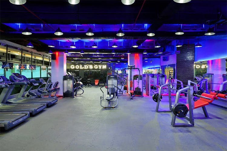 Golds gym best sale home gyms