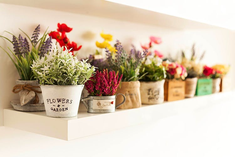 Flowerpot,Flower,Shelf,Plant,Houseplant,Room,Botany,Floristry,Cut flowers,Artificial flower
