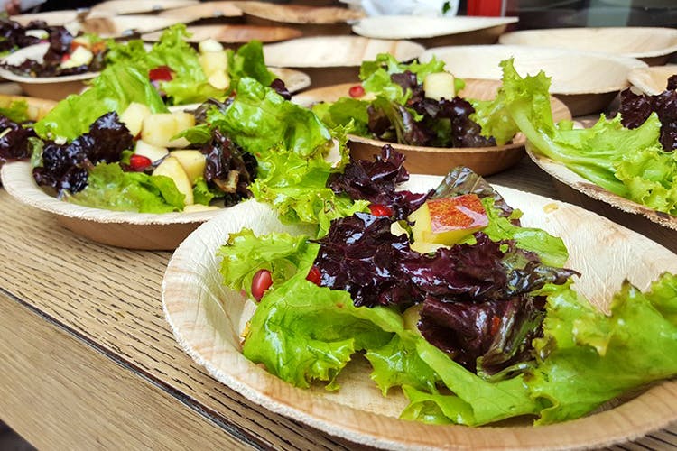 Dish,Food,Cuisine,Ingredient,Salad,Lettuce,Red leaf lettuce,Leaf vegetable,Vegetable,Produce