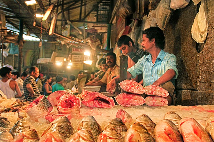Selling,Butcher,Market,Public space,Fish products,Fishmonger,Food,Flesh,Meat,Seafood