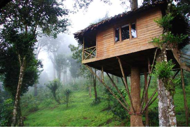 House,Property,Atmospheric phenomenon,Tree,Tree house,Cottage,Home,Hill station,Jungle,Building
