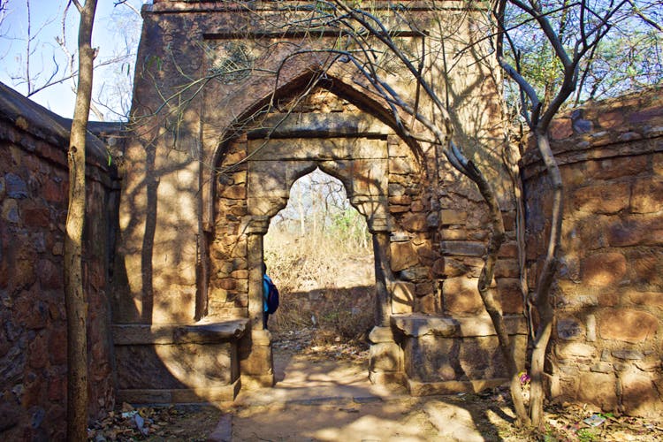 Arch,Tree,Ruins,Architecture,Wall,Building,Shadow,Stone wall,House,Plant