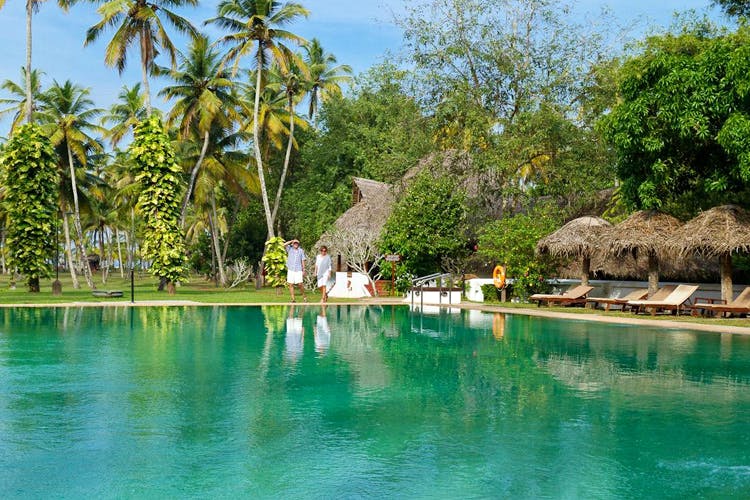 Water,Swimming pool,Lagoon,Tree,Resort,Vacation,Palm tree,Leisure,Tropics,Sea