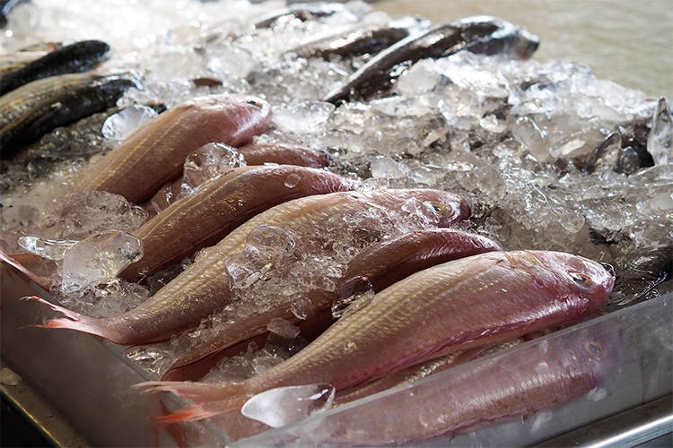 Fish products,Food,Fish,Dish,Cuisine,Seafood,Fish,Comfort food,Soused herring