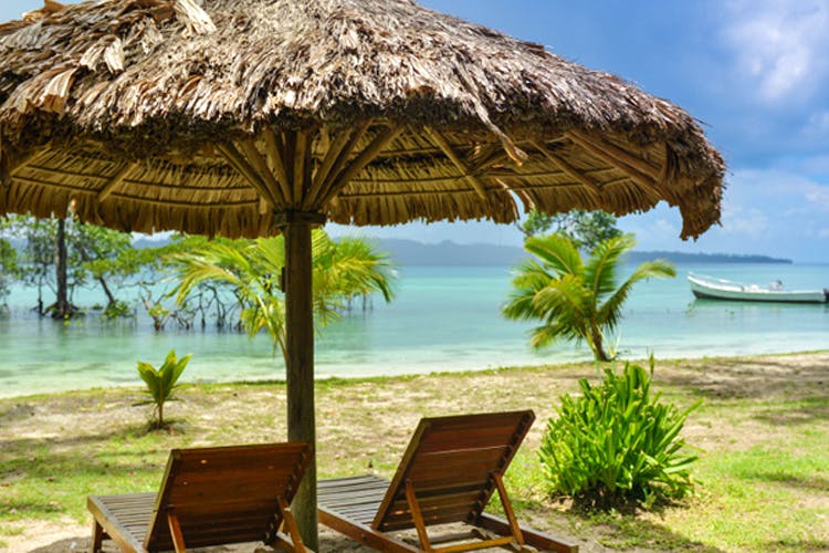 Vacation,Resort,Tropics,Thatching,Beach,Palm tree,Sea,Caribbean,Tree,Ocean