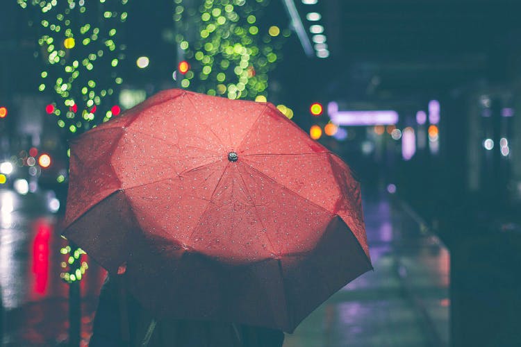 Umbrella,Red,Green,Rain,Light,Sky,Pink,Organism,Tree,Fashion accessory