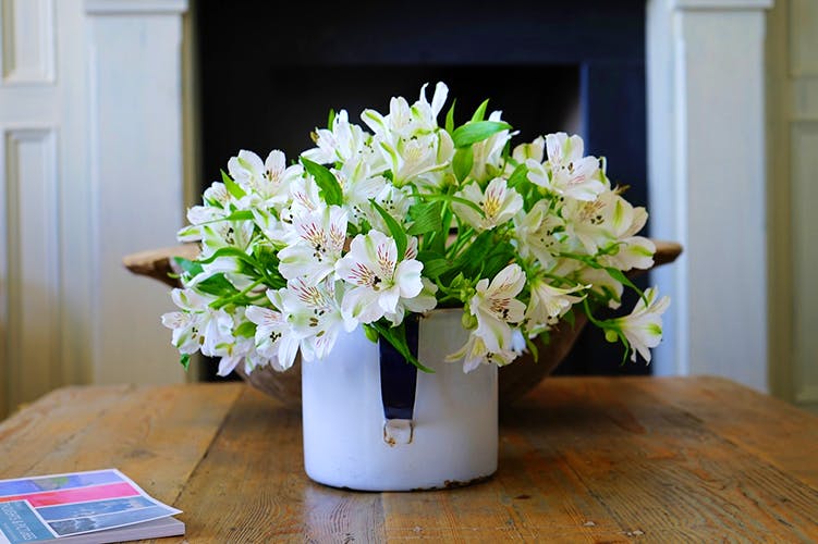 Flower,White,Bouquet,Cut flowers,Flowerpot,Floristry,Plant,Flower Arranging,Vase,Flowering plant