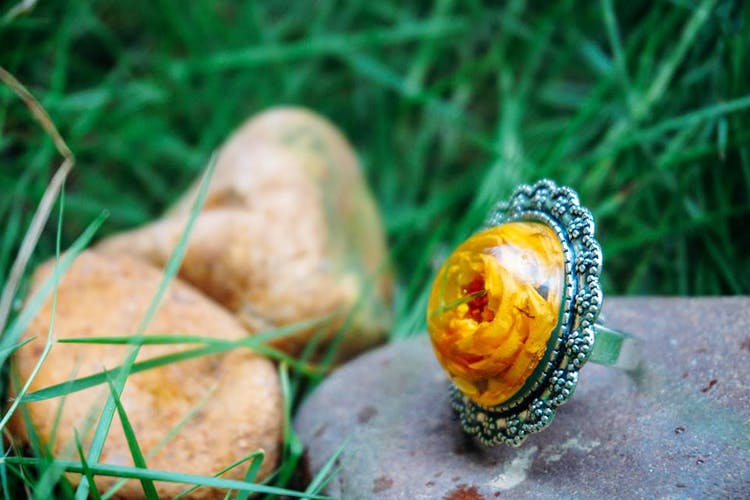 Grass,Fashion accessory,Fungus,Ring,Jewellery,Sea snail,Macro photography,Perennial plant