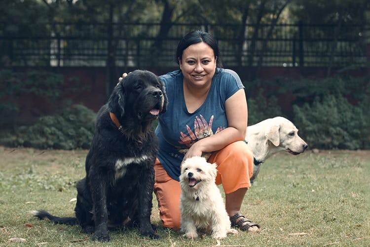 Check Out Friendicoes NGO For Animal Welfare | LBB, Delhi