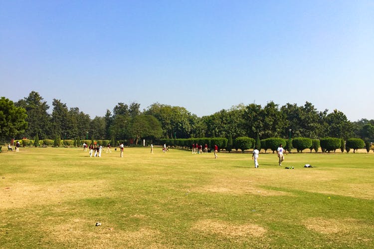 Cricket,Sport venue,Team sport,Grass,Park,Tree,Lawn,Grassland,Pasture,Plain