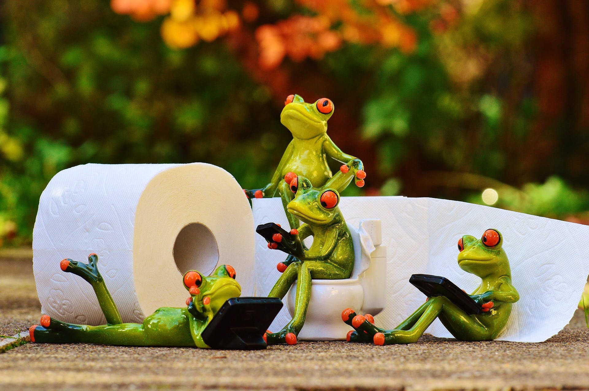 Green,Figurine,Animation,Frog,Organism,Toy,Action figure,Grass,Amphibian,Photography