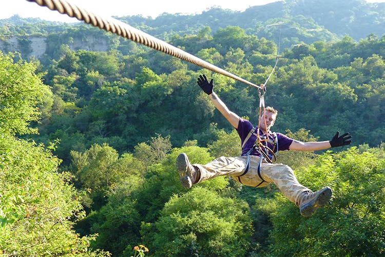 Adventure,Jungle,Recreation,Hill station,Bungee cord,Fun,Tree,Rainforest,Bungee jumping,Jumping